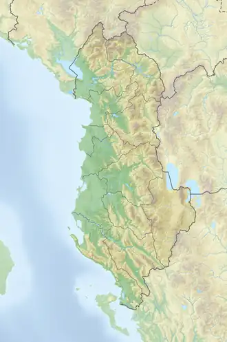 Balkanluchs (Albanien)