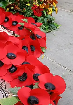 Künstliche Mohnblumen erinnern an die Toten der Weltkriege am Remembrance Day