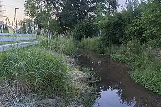 Renaturierter Schweizerbach