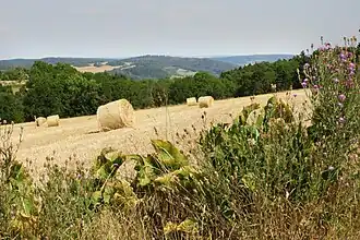 Der östliche Teil mit den thüringischen Bergen des nördlichen Ringgaus im Hintergrund.