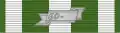 Republic of Vietnam Campaign Medal