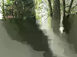 Abzweig des Mühlgrabens in Reuchelheim