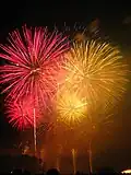 Feuerwerk 2009 in Bonn