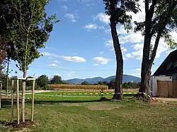 Blick von den Rheingärten gen Norden zum Schwarzwald-Kamm