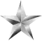 Award Star (silber)