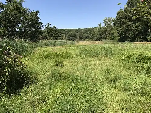 Ried in Alteberg-Bucht