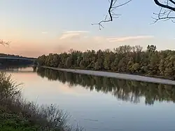 Der Fluss Drau bei Belišće