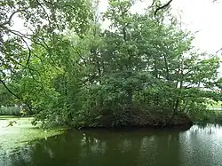 Wasserburg Ringethal von Süden