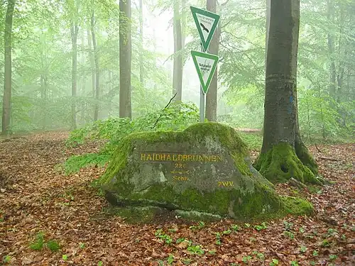 Ritterstein 108 an der Südwestflanke