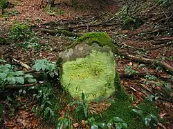 Ritterstein Eselsschleif