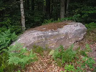 Ritterstein 92 am Nordwesthang