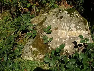 Ritterstein 51 am Südostfuß