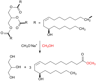 Umesterung von Rizinusöl