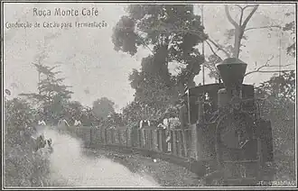 Feldbahntransport des Kakaos zum Fermentieren[Anmerkung 2]