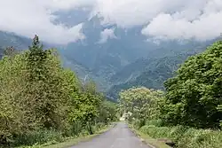 Danong-Dafu-Ebenenwaldgebiet (大農大富平地森林園區)