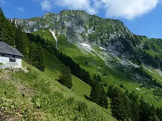 Rochers de Naye von der Alp Chamossale