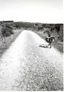 Typisch gradliniger Streckenverlauf in der Eifel