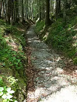 Römerstraße bei Klais, Landkreis Garmisch-Partenkirchen (Spurweite 107 cm)