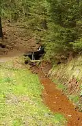 Eisenquelle am südlichen Abhang
