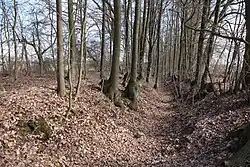 Sächsische Landwehr bei Roth (Römhild)