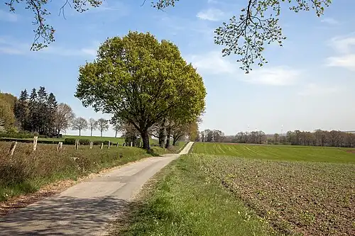 Auf der Kuppe des Rothen Berges, Blick nach Südosten