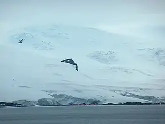 Blick von der English Strait auf den Rousseau Peak oberhalb der Eismassen des Fuerza-Aérea-Gletschers mit der Arturo-Prat-Station im Vordergrund