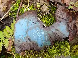 Rudoltovice („Archäologie“: ein alter emaillierter Gefäßrest mit der deutschen Aufschrift „Brünn“)