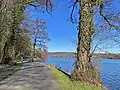 Ruhrtalradweg am Hardenbergufer (Baldeneysee)