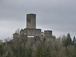 Palas, Wohnbauten und Nebengebäude östlich unterhalb des Bergfrieds
