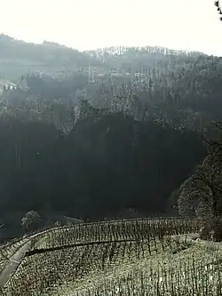 Ausblick von der Klus in Aesch Baselland zum Höhenzug. Ruine Schalberg oder Alt-Schalberg.