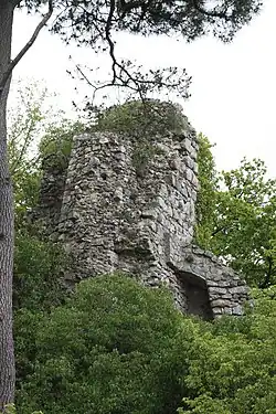 Turmruine der Burg