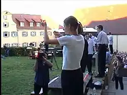 „Schloss Kapfenburg besaitet…“ a sound installation by Renate Hoffleit and Michael Bach Bachtischa, 2000