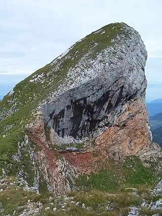 Der Streichkopf von Osten