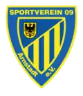 SV 09 Arnstadt (2009–2019)