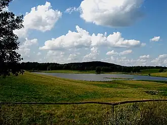 Der zweithöchste Berg der Seesker Höhen, die Tatarska Góra (Tannenkopf, 308 m)