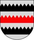 Wappen von Saarijärvi