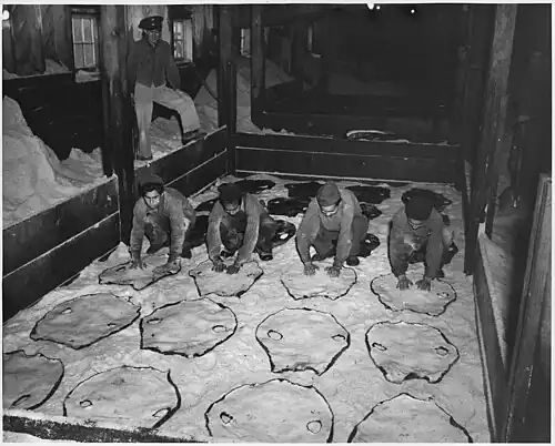 Einsalzen der Rohfelle