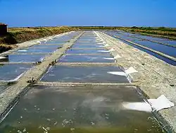 Salzgarten bei Loix