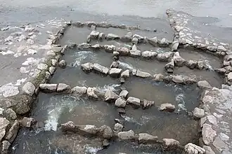 Fischleiter an der Mündung