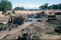 Bei den Salzfeldern von Cotalaran (2003)