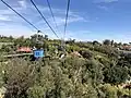 Die Skyfari Aerial Tram über den Zoo
