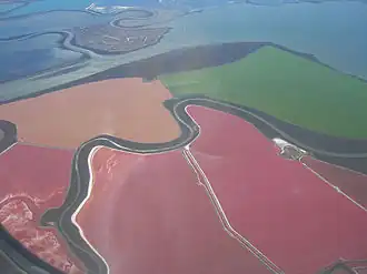 Luftaufnahme der Salzteiche in der Bucht von San Francisco