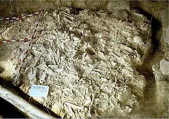 Knochenlager vor der Ausgrabung