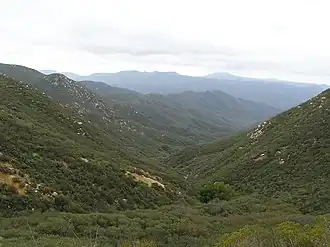 San Mateo Canyon Wilderness, südliche Santa Ana Mountains, April 2007.