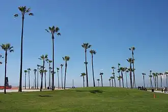 Venice Beach (Folge 5)