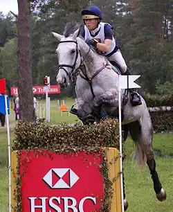 Sara Algotsson-Ostholt mit Wega beim CCI 4* Luhmühlen 2011