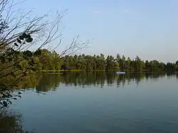 Ostufer des Sarchinger Weihers