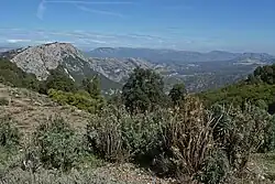 Pass Genna Silana, Blick Richtung Dorgali