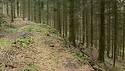 Flacher Wall an der steilen Hangkante zum Bachlauf