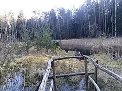 Blick auf das Saugartenmoor